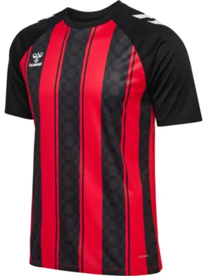 Produktbild von Hummel hmlMatch Striped Jersey