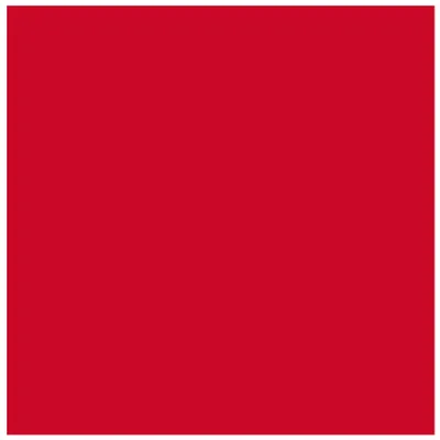 Produktbild von POLI-FLEX NYLON - 4808 RED - 20 x 30cm