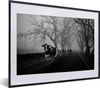 Produktbild von MuchoWow® MuchoWow® Gerahmtes Poster Reihe von Kühen 40x30 cm - Poster mit zchwarzem Bilderrahmen - Bilderrahmen - Poster im Rahmen