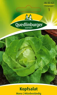 Produktbild von Kopfsalat 'Mona' Quedlinburger Salatsamen