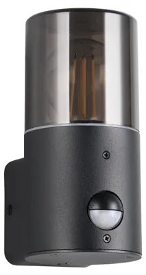 Image de Applique d'extérieur avec détecteur de mouvement E27 28W HOOSIC Trio