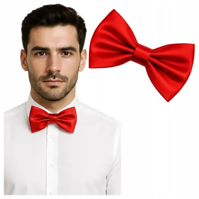 Produktbild von Luvu Herren Fliege Elegant Glatt Rot Verstellbar