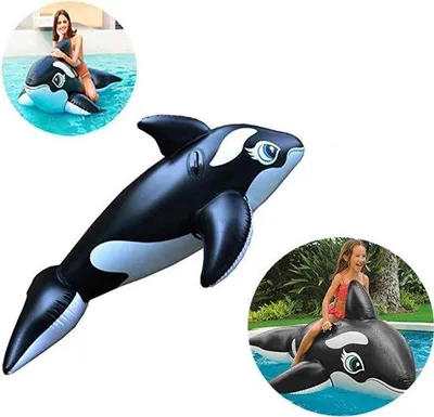 Image de Bouée gonflable en forme de requin - Jouet de piscine gonflable - Dimensions : 150 x 88 x 55 cm
