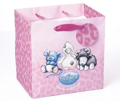 Image de Bluenose g73d0008 - Sac de transport grand 23 X 23 X 16,5 Cm