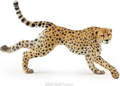 Produktbild von Papo Laufende Gepardin, 3 Jahr(e), Wild animal kingdom, Mehrfarbig, PVC