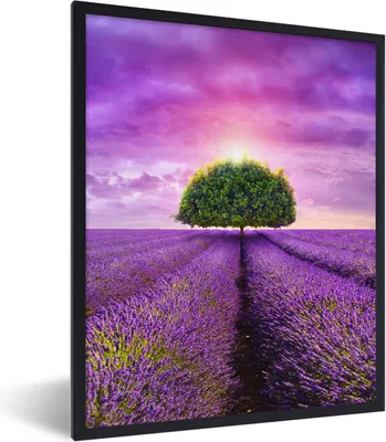 Produktbild von MuchoWow® Gerahmtes Poster Lavendel - Baum - Lila - Wolken 60x80 cm - Poster mit Schwarzem Bilderrahmen Wandposter Rahmen Foto Bilder - Premium - Wanddeko Wohnzimmer