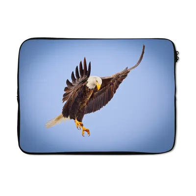 Produktbild von MuchoWow® Laptop Hülle 13 Zoll Adler - Luft - Tier Laptoptasche - Laptophülle - Sleeve - Rundumschutz