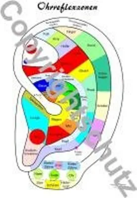 Produktbild von Ohrreflexzonenübersicht