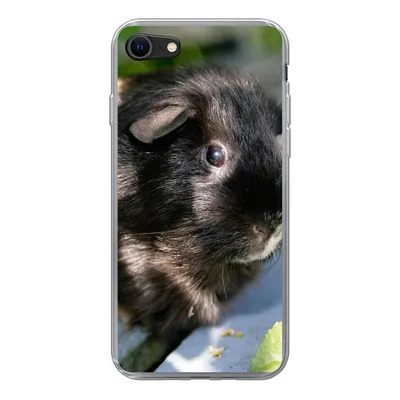 Produktbild von MuchoWow® Handyhülle Schutzhülle Hülle für iPhone 8 Meerschweinchen im Garten Silikon Softcase Handy Hülle - Schutzhaube