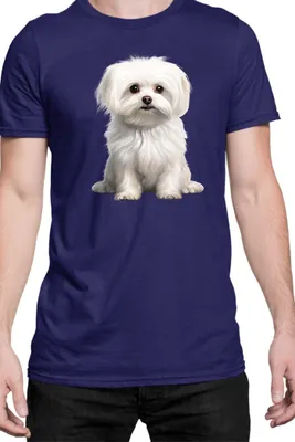 Immagine prodotto di Maglietta da uomo Dogs Breeds Maltese Dog Breed 006, Man S , Bleu foncé