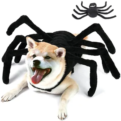 Produktbild von Halloween-Kostüme für Hunde – Spinnenkostüm für die Halloween-Party, für mittelgroße und kleine Hunde, Katzen und Welpen