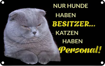 Produktbild von vianmo Blechschild 12x18 cm Hund hat Besitzer Katze Personal Tier Haustier