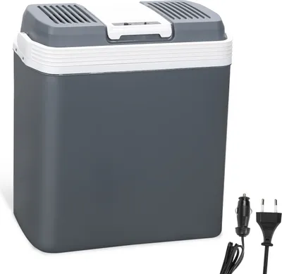 Immagine prodotto di Aopunly 24 L cool box per raffreddare e tenere in caldo, mini frigo da campeggio, cool box termoelettrico con modalità ECO 12/230 V per auto e presa di corrente