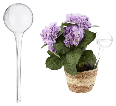 Productafbeelding van Omgoods - Set van 2 Glazen Waterdruppelaars voor Bloempotten