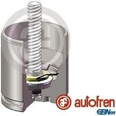 Produktbild von AUTOFREN SEINSA Bremssattel-Kolben für RENAULT MASTER III Kasten (FV) 48mm