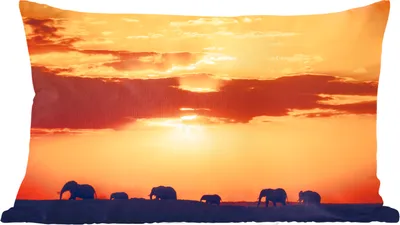 Produktbild von MuchoWow® Zierkissen Sofakissen Wohnzimmer Dekokissen 50x30 cm Elefanten - Horizont - Sonnenuntergang - Tiere - Wohnzimmerdekoration - Polster mit Photo