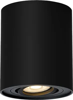 Immagine prodotto di Rabalux Lampada da soffitto nera Kobald rotonda per lampadina GU10 2047