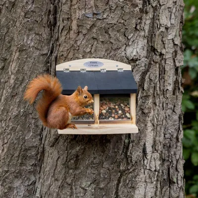 Produktbild von CJ Wildlife Eichhörnchen Futterhaus - Victoria Doppelausführung - Holz ( 100%) 24 x 21,5 x 21 cm - 2 x 700 g - Braun - für zwei Futtersorten