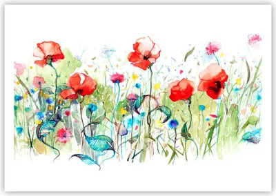 Produktbild von Poster - Poster ohne Rahmen - Blumen Wiese Blatt Natur - 100x70 cm - Wand Bild - Wanddeko - Wandbilder - Kunstposter - Wandposter - Bilder - Kunstdruck - Wanddekoration - Wandbild - P2XAA100x70-3076