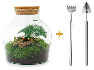 Obrázek produktu pro "Little Joe" zahrádka z láhve - terárium pro kutily - 21,5 cm - včetně hrabiček a lopatky