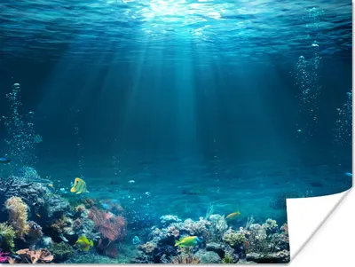 Produktbild von MuchoWow® Poster Ozean - Fische - Korallen 120x90 cm - Wandbild