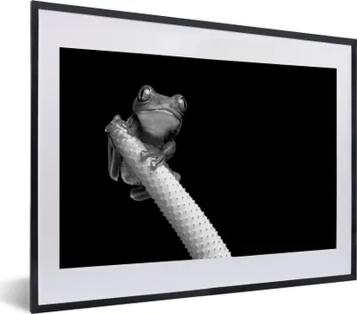 Produktbild von MuchoWow® Gerahmtes Poster Kleiner Laubfrosch vor schwarzem Hintergrund - schwarz und weiß 40x30 cm - Poster mit Schwarzem Bilderrahmen Wandposter Rahmen Foto Bilder - Bilderrahmen - Poster im Rahmen