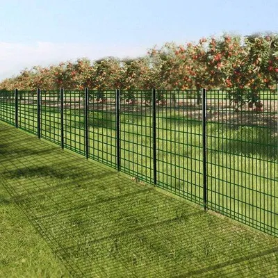 Productafbeelding van Famanu gaashek 1 m x 20 m - Groen gaas met een maaswijdte van 100 x 100 mm
