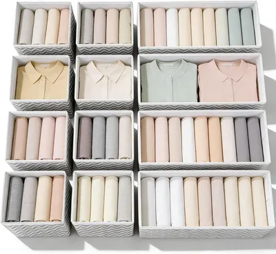 Productafbeelding van Evance opvouwbare lade-organizers - Set van 12 - Vliesstof - Ondergoed - Beha's - Stropdassen - Sokken - Ruimtebesparend