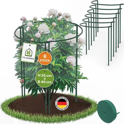Produktbild von TTL GARDEN Strauchstützen 6er Set 35x40cm + Klettband Pflanzenstütze grün