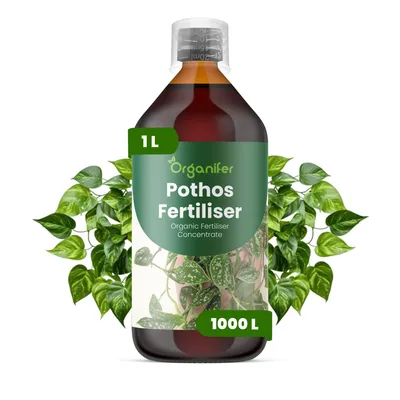 Zdjęcie produktu dla Pothos Nawóz Płynny 1 L – 2-1-8 NPK – Do Pothos – Podporuje Silny Wzrost i Zdrowe Liście – Organifer