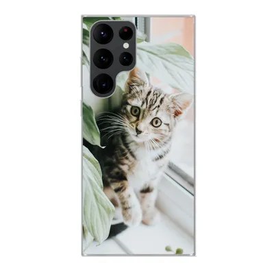 Produktbild von MuchoWow® Handyhülle Schutzhülle Hülle für Samsung Galaxy S22 Ultra Katze - Kätzchen - Pflanzen Silikon Softcase Handy Hülle - Abbildung