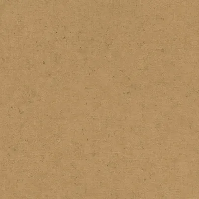 Produktbild von Vliestapete 520897 Tapete Uni Einfarbig 53 x 1005 cm Rasch Factory V Braun