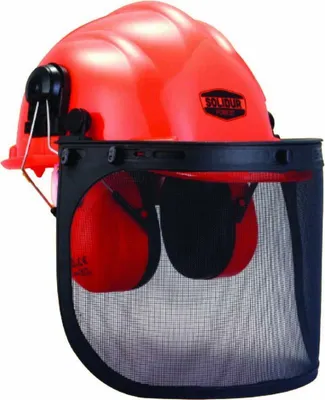 Image de Casque complet forestier SOLIDUR - CA01