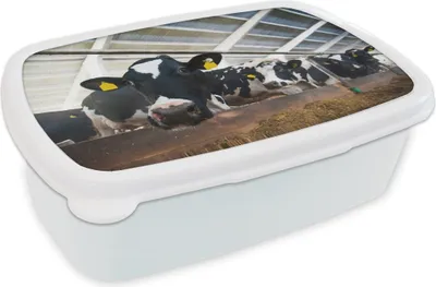 Produktbild von KitchenYeah® Lunchbox Brotzeit Brotdose 17x11 cm Kuh - Bauernhof - Stall Kinder Brotzeitdose - Lunch Box - Kinder - Sandwich-Box - Schulbox - Lunch Boxen