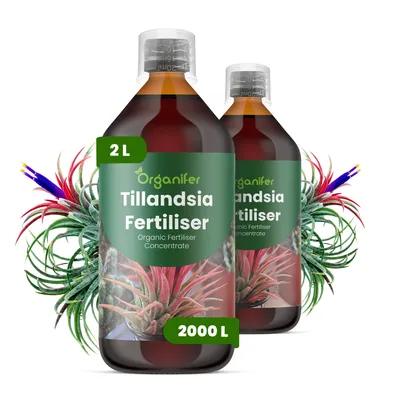Produktbild von Flüssigdünger Für Tillandsien 2x1L – 2-1-8 NPK – Flüssig-Pflanzendünger Für Tillandsien – Organifer