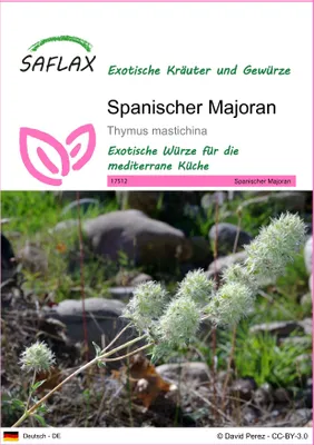Produktbild von SAFLAX - Spanischer Majoran - Thymus mastichina - 250 Samen
