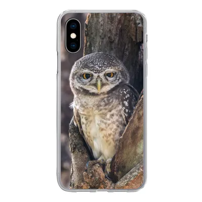 Produktbild von MuchoWow® Handyhülle Schutzhülle Hülle für iPhone X Eule - Baum - Wald Silikon Softcase Handy Hülle - Handyhülle