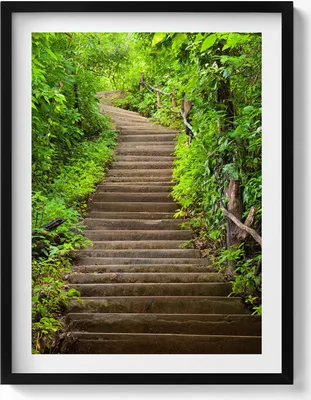 Produktbild von Eine Treppe mitten im Wald– Wandbild mit Rahmen – Gerahmtes Bild  – Wanddekoration – 60x80 cm –  Schwarz Rahmen