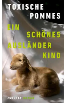 Produktbild von Ein schönes Ausländerkind
