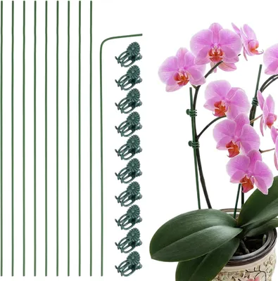 Produktbild von Rankhilfe Pflanzenstütze, 10 Stück 30 cm Pflanzenhalter, flexible Pflanzenstütze für den Garten, Orchideenstäbe mit Clips für Tomaten, Rosen und Staud
