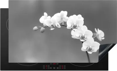 Produktbild von KitchenYeah© Herdabdeckplatte Orchidee - Blumen - Pflanze - Weiß - Lila , 91x52cm, Küche Deko, Glaskeramikkochfeld Herdabdeckung, Abdeckplatte fùr Kochfeld