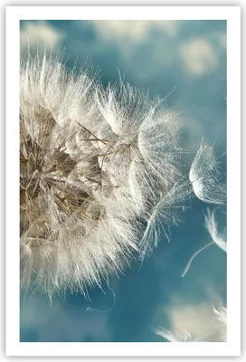 Produktbild von Poster - Poster ohne Rahmen - Baby Sommer Pflanze - 61x91,5 cm - Wand Bild - Wanddeko - Wandbilder - Kunstposter - Wandposter - Bilder - Kunstdruck - Wanddekoration - Wandbild - P2XPA61x91-3567