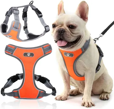 Immagine prodotto di Pettorina per cani ASTRO arancione taglia S