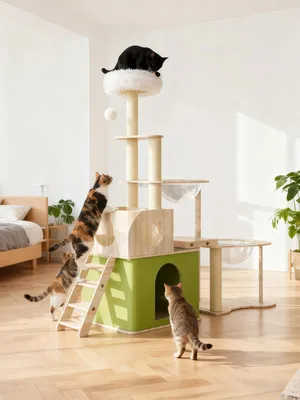 Image de Arbre à chat - Tour d'escalade pour chat - 5 niveaux - En bois - XXL - Pour l'intérieur avec niche
