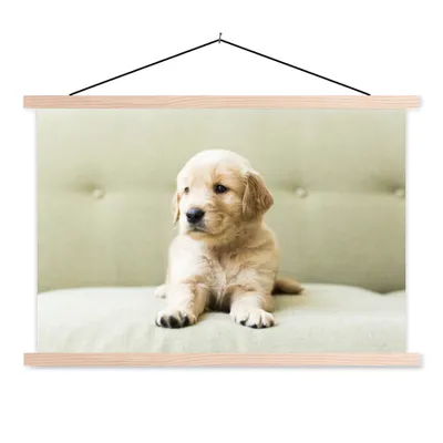 Produktbild von MuchoWow® Textilposter Golden Retriever Welpe auf dem Sofa liegend 120x80 cm mit holzfarbenen Rahmen - Aufhängeset