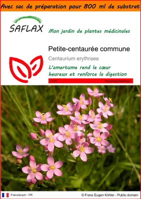 Image de SAFLAX Garden in the bag - Petite-centaurée commune - 250 graines - Centaurium