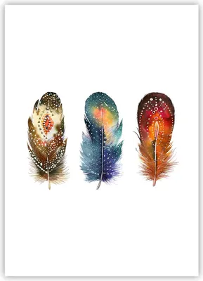 Produktbild von Poster - Poster ohne Rahmen - Feder Vogel Farbe - 50x70 cm - Wand Bild - Wanddeko - Wandbilder - Kunstposter - Wandposter - Bilder - Kunstdruck - Wanddekoration - Wandbild - P2XPA50x70-4927