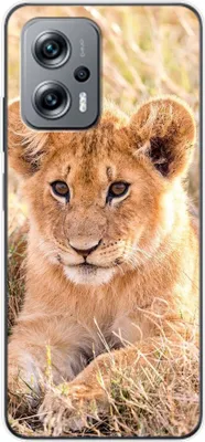 Produktbild von König Design Hülle kompatibel mit Xiaomi Redmi K50i Kunststoff Soft Handyhülle - Handy Case Löwen Baby