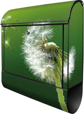 Produktbild von banjado Design Briefkasten Stahl schwarz mit Zeitungsfach pulverbeschichtet "Pusteblume" 38x46x12,5cm & 2 Schlüssel - Postkasten A4 Einwurf inkl. Montagematerial [BKSCH 10074]