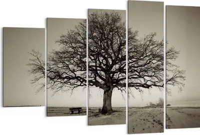 Produktbild von Bild auf Leinwand - Leinwandbild - 5 Teile - Baum Schnee Sepia - 150x100cm - Wand Bild - Wanddeko - Wandbilder - Leinwanddruck - Bilder - Wanddekoration - Leinwand bilder - Wandbild - EG150x100-4161